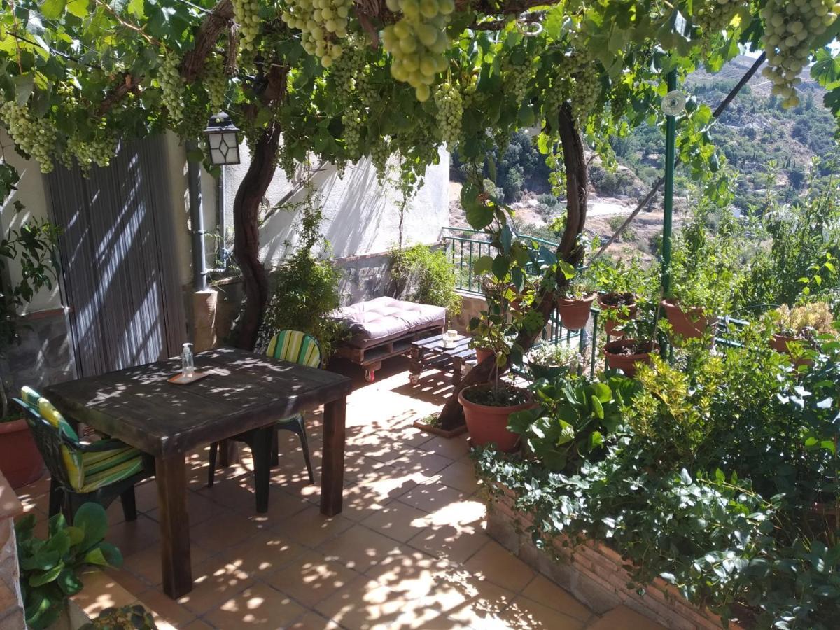 Vila Casa Maribel Guejar Sierra Exteriér fotografie
